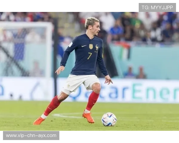 格列兹曼多次参与组织