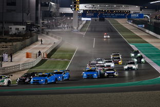 爱游戏app-世界雪车锦标赛中国选手跻身前八，世界雪车锦标赛用车多少钱