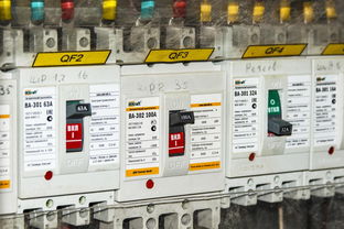 爱游戏入口-体育赛事安全管理体系构建与实施效果，体育赛事安全监管