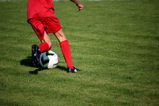 爱游戏体育官网-篮球专项技能训练标准体系建设，篮球专项训练方法和手段